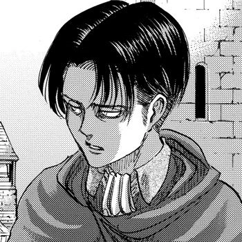 Levi